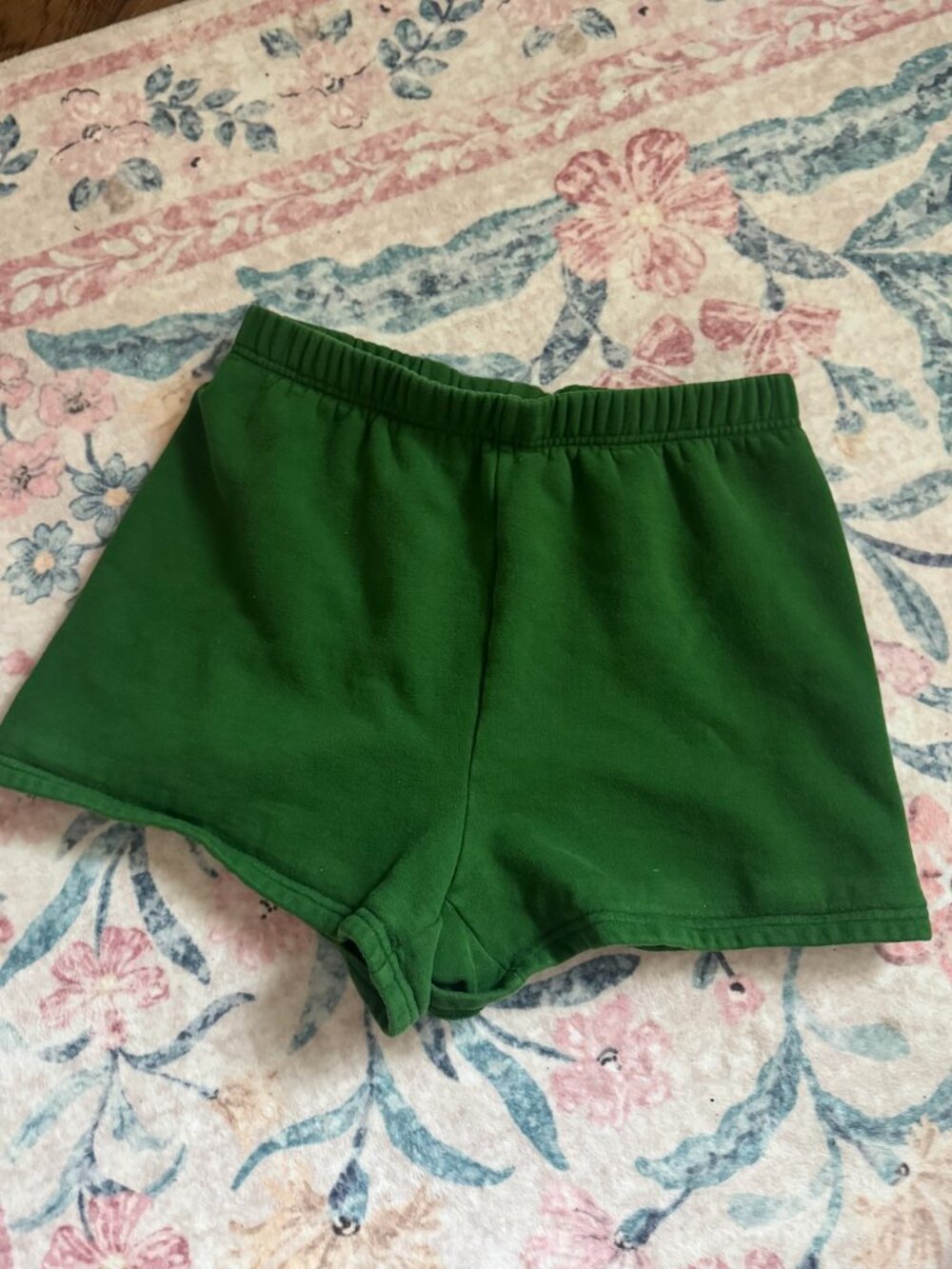 Green Aritzia TNA Sweatshorts